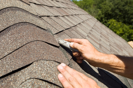 roofing picture